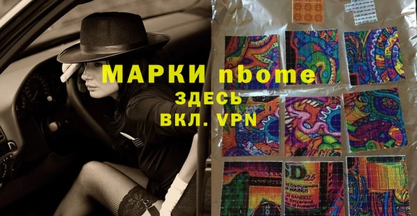 мдпв Краснослободск