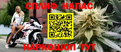 эйфоретик Коммунар