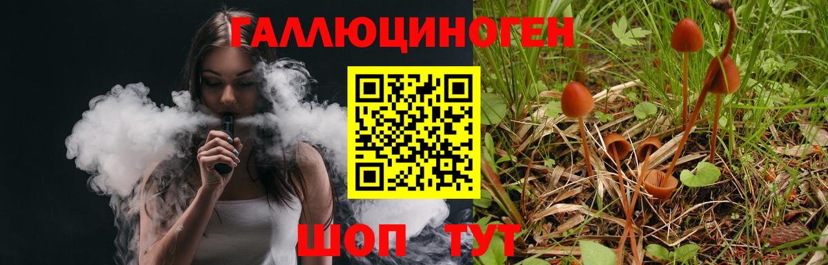 Псилоцибиновые грибы мухоморы Коммунар
